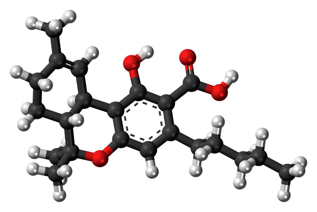 Molekylmodell av THCA, tetrahydrocannabinolsyra