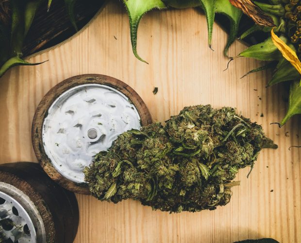 Cannabis with grinder