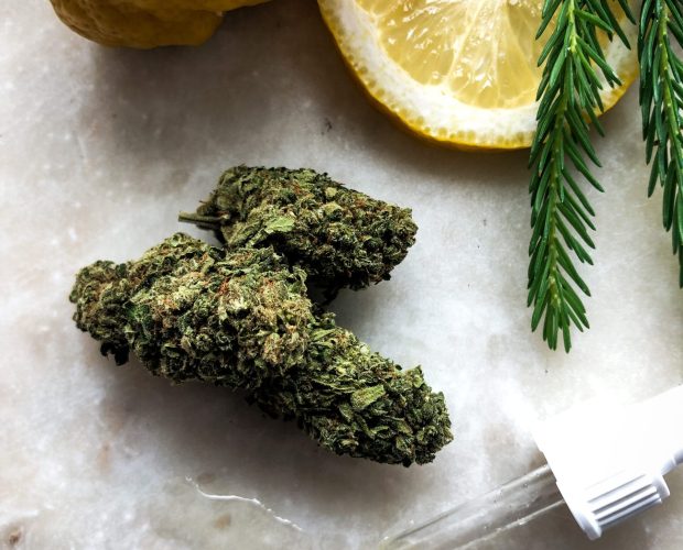 CBD Olja och cbd buds