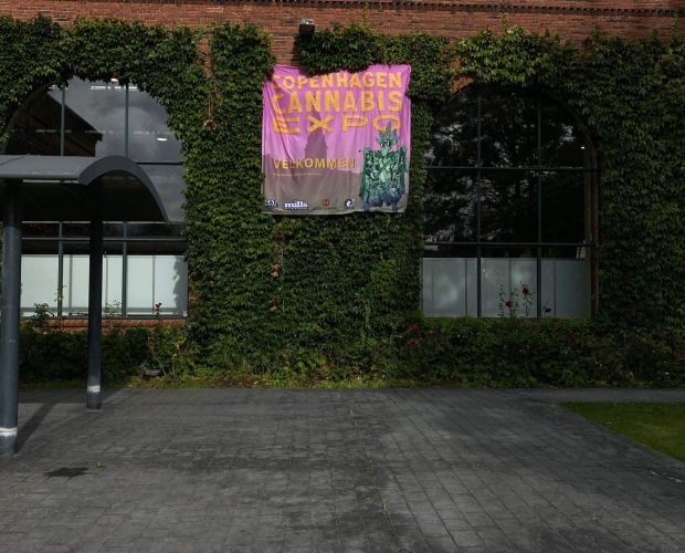 Cannabis Expo North Grow 2023