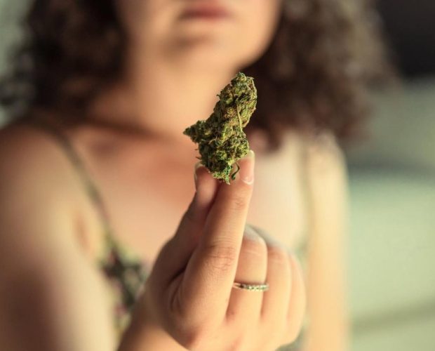 Cannabis i Sverige 2024